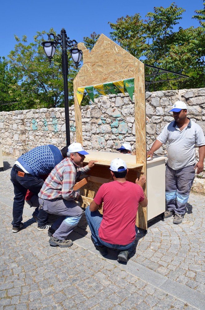 Didim, Türkiye’nin İlk Vegan Festivalina Hazırlanıyor