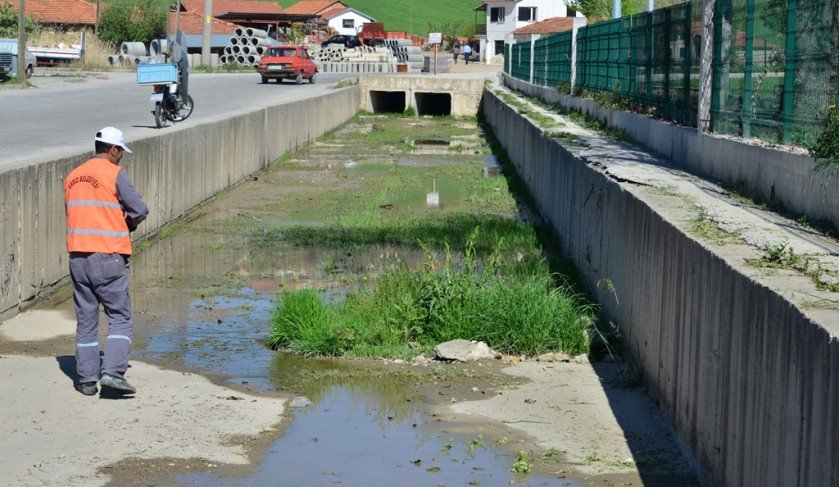 Gediz Belediyesinden İlaçlama Çalışması