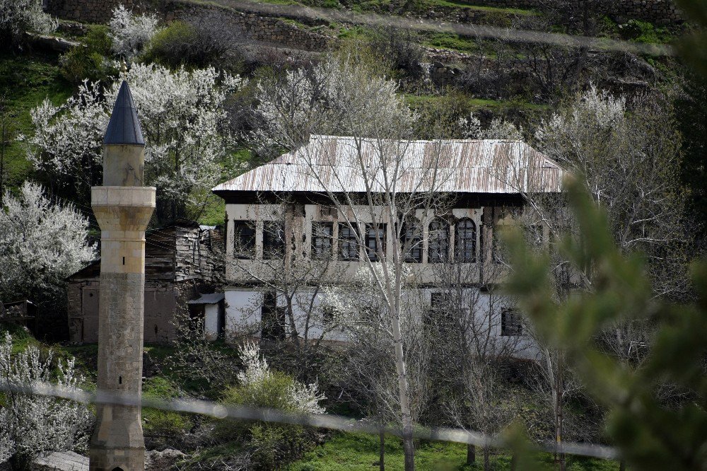 Süleymaniye’de Eşsiz Bahar Güzelliği