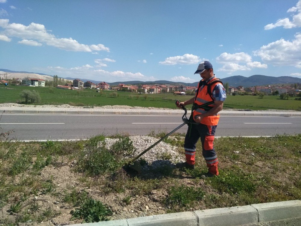 Karayolunun Orta Refüjü Otlardan Temizleniyor