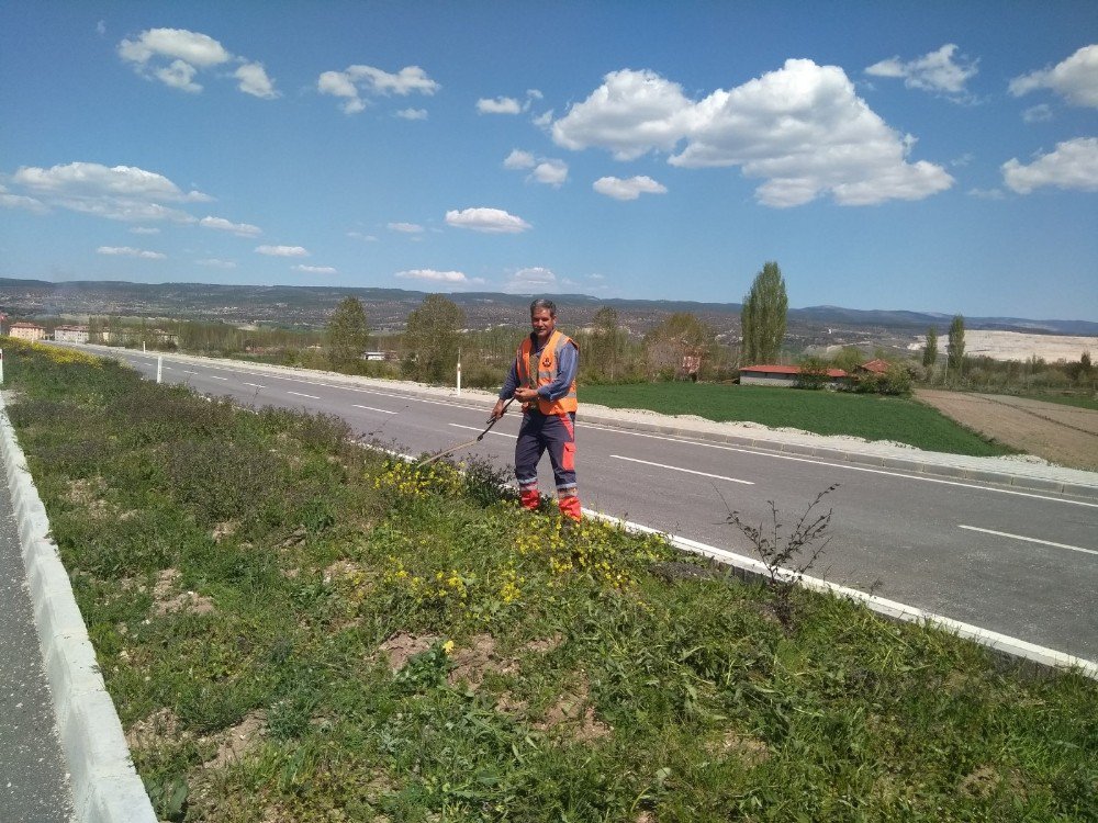 Karayolunun Orta Refüjü Otlardan Temizleniyor