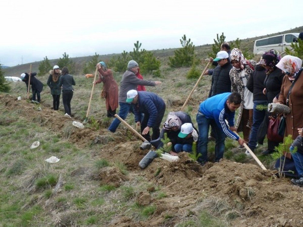 Otizm Farkındalık Ormanı’na 1000 Adet Fidan Dikildi