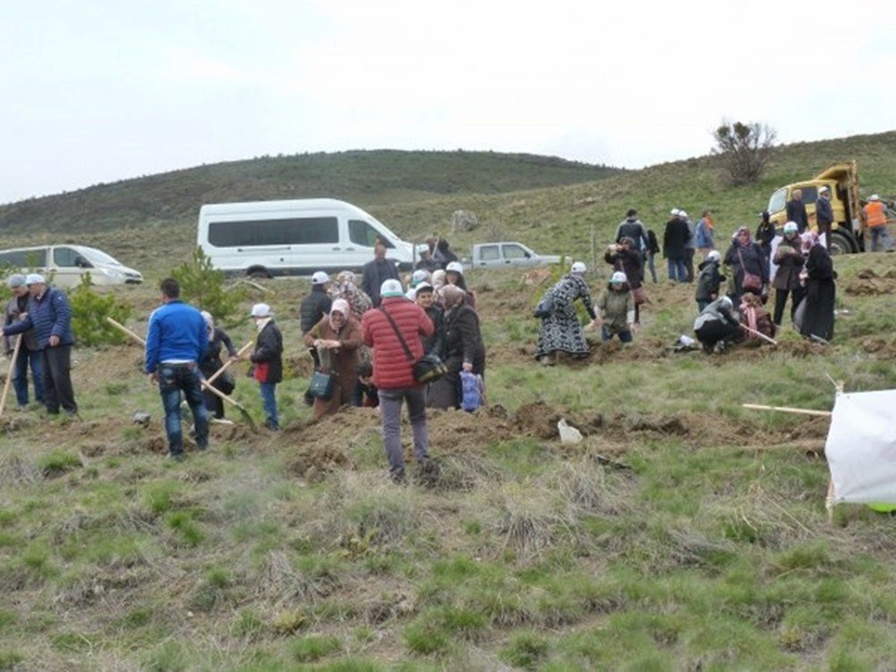 Otizm Farkındalık Ormanı’na 1000 Adet Fidan Dikildi