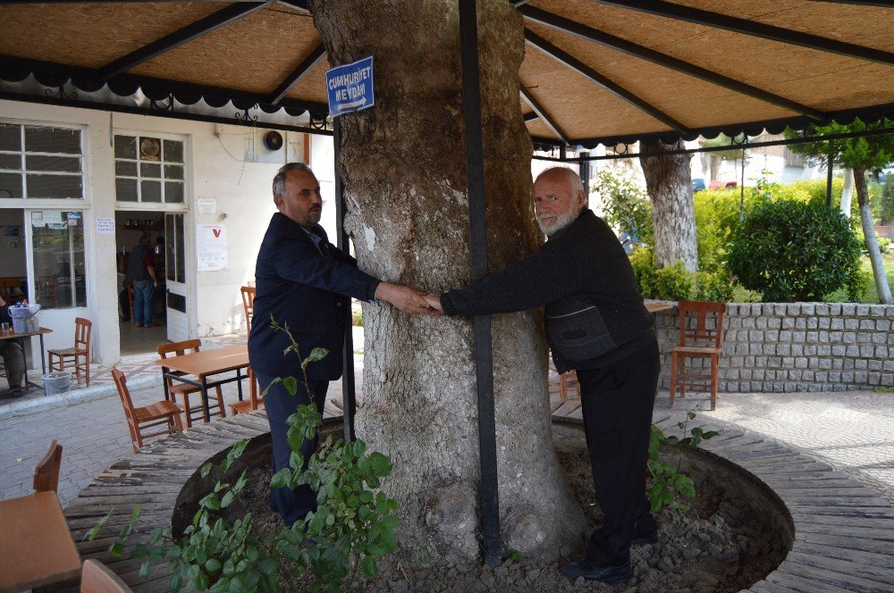 Halitpaşa Mahallesinin Yaşayan Tarihi