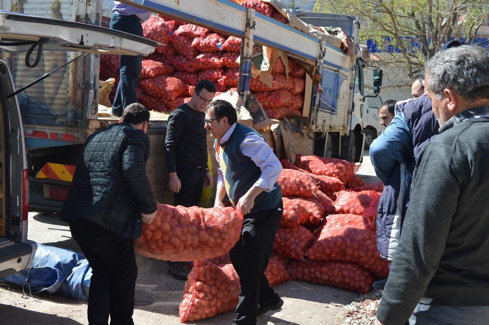 Ordu Büyükşehirden Patates Üretimine Destek