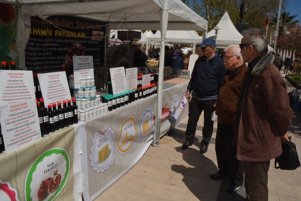 Sinop’ta Yöresel Ürünler Festivali Başladı