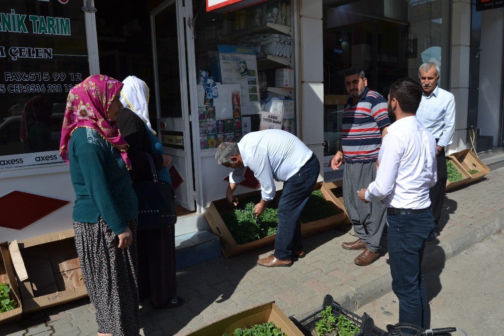 Organik Tarım Ürünleri Vatandaşlardan Yoğun Talep Görüyor