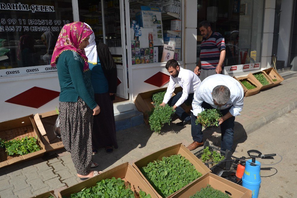 Organik Tarım Ürünleri Vatandaşlardan Yoğun Talep Görüyor