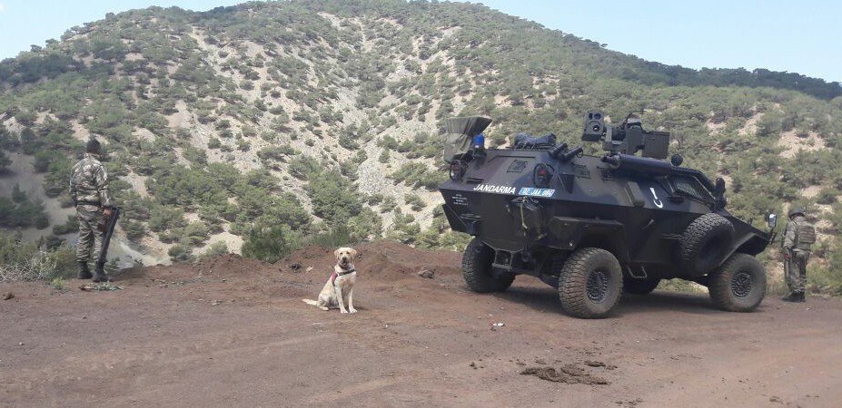 Adıyaman Kırsalında 8 Terörist Öldürüldü