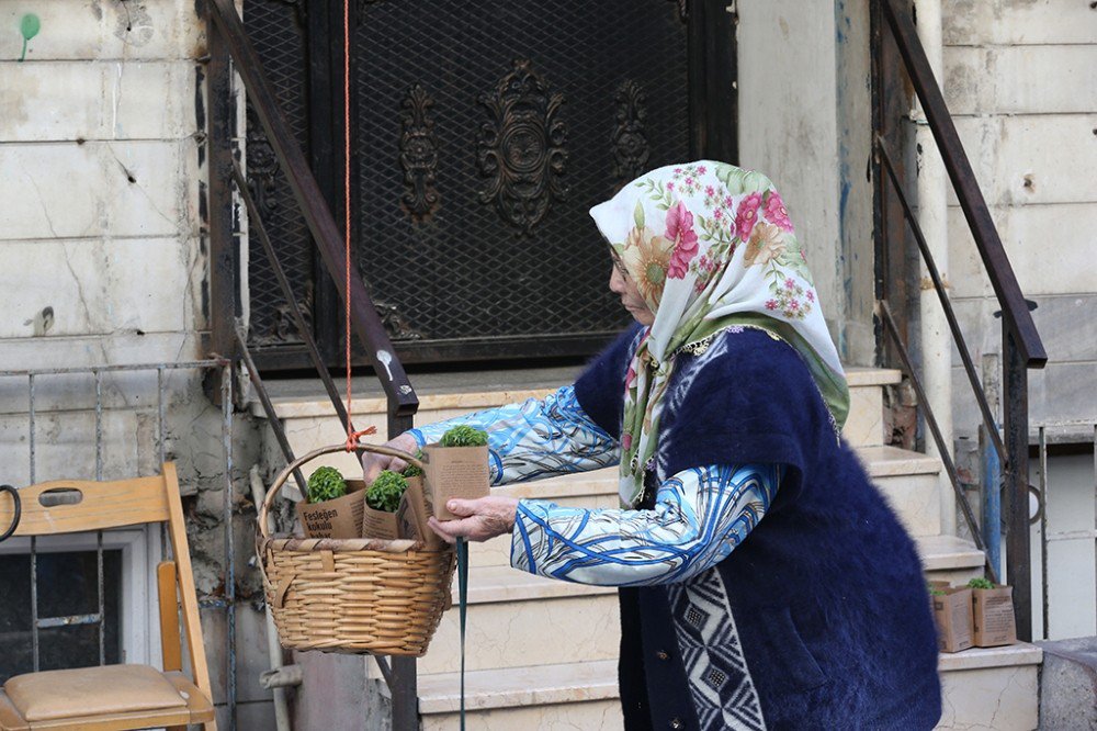 Zeytinburnu’nda Sokakları Fesleğen Kokusu Sardı