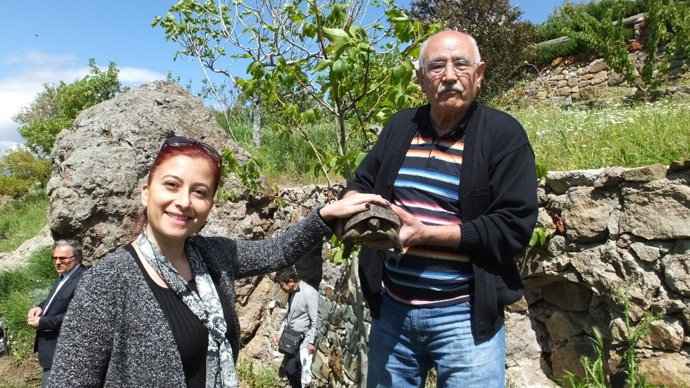 Bahçesinde Kaplumbağa Besliyor