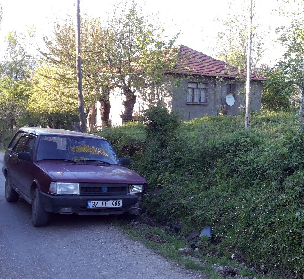 Evin Bahçesine Kadar İnen Ayı, Yoldan Geçen Araca Saldırdı