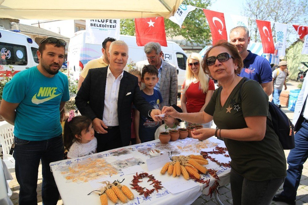 Sağlıklı Gelecek İçin Tohumlar Nilüfer’de El Değiştirdi