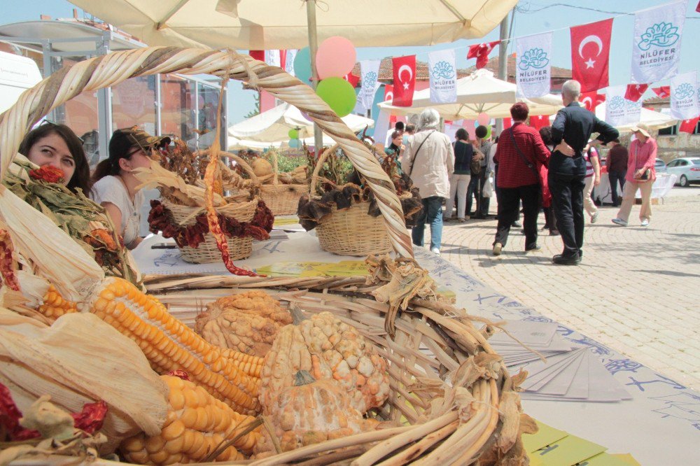 Sağlıklı Gelecek İçin Tohumlar Nilüfer’de El Değiştirdi