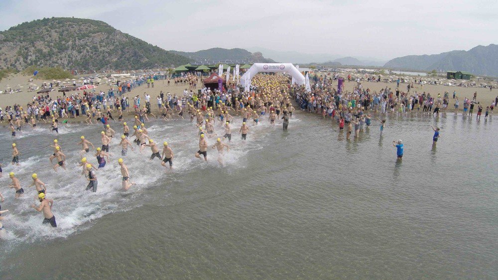 Dalyan’da Sporcular Carettalarla Yüzdü