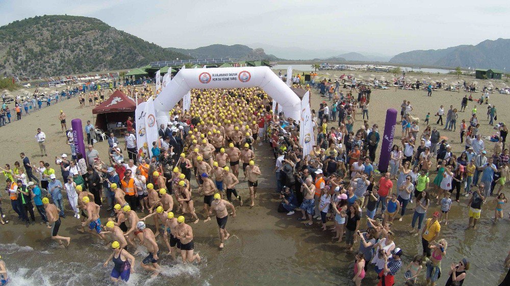 Dalyan’da Sporcular Carettalarla Yüzdü