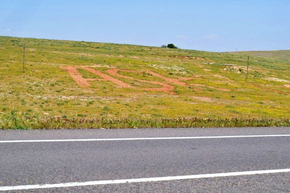 Traktörle Tarlaya 30 Metrelik Aşk Yazıp Yanına Kalp Çizdi