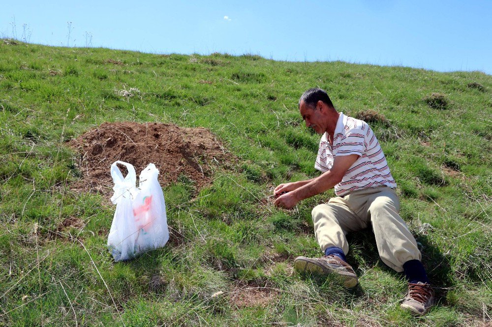 Yozgat’ta Madımak Zamanı