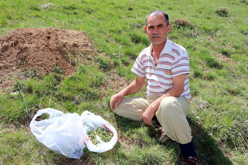 Yozgat’ta Madımak Zamanı