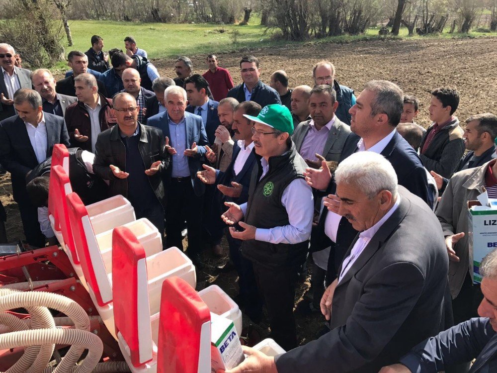 Pınarbaşı’nda Pancar Tohumları Toprakla Buluştu