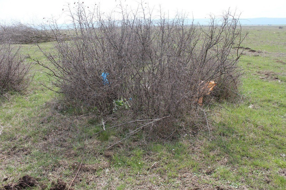 Tekirdağ’da Mera Islah Çalışmaları