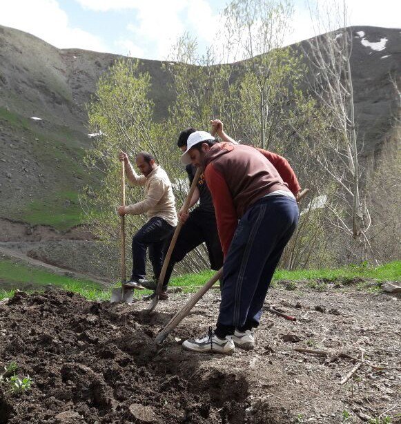 Hakkarili Çiftçileri Ekim Telaşı Sardı