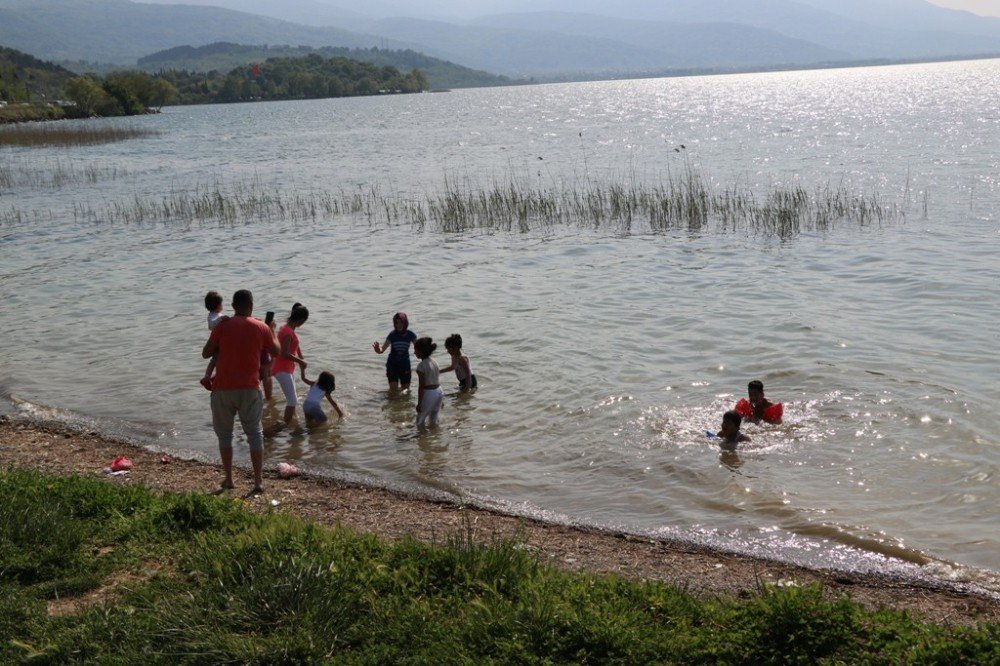 Sapanca Gölünde Yüzenler Tehlike Oluşturmaya Başladı