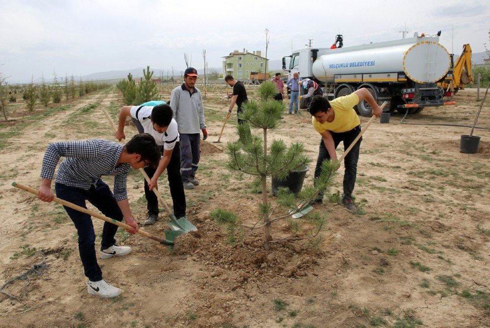 Selçuklu’da Sanayi Çalışanı Gençler Bin 71 Fidanı Toprakla Buluşturdu