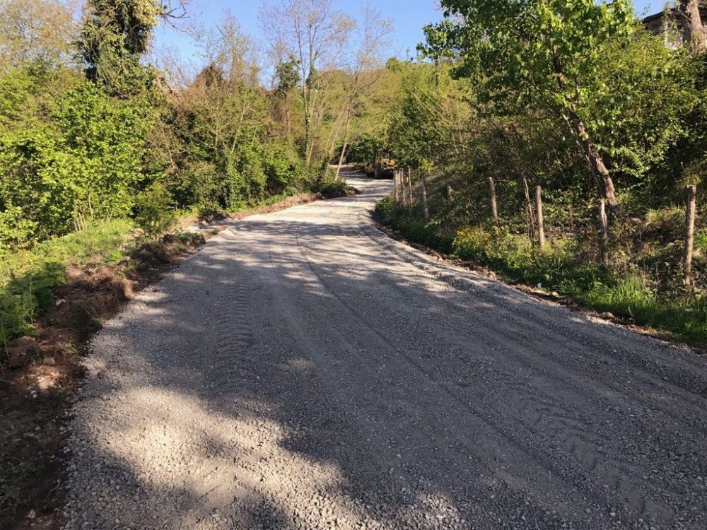 Fatsa Belediyesinin Yol Çalışmaları