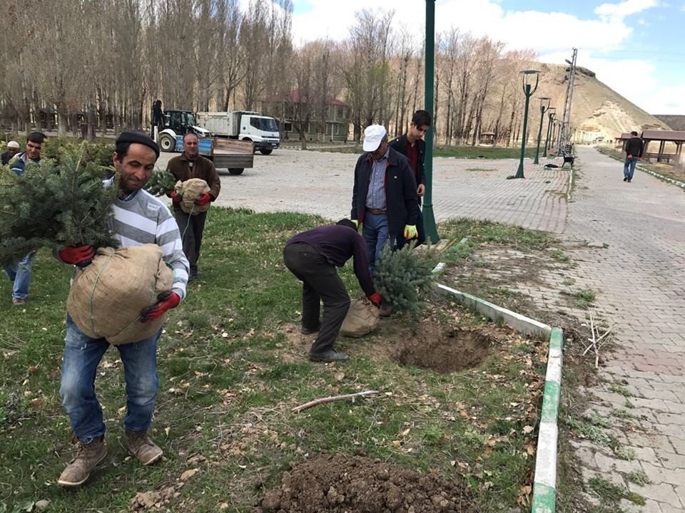 Taşlıçay Belediyesi Yeşillendirme Çalışması