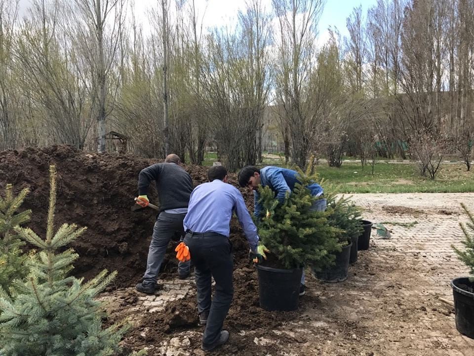 Taşlıçay Belediyesi Yeşillendirme Çalışması