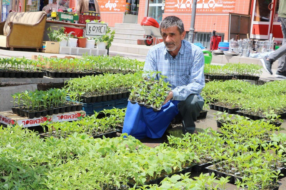 Yozgat’ta Fide Satışları Başladı