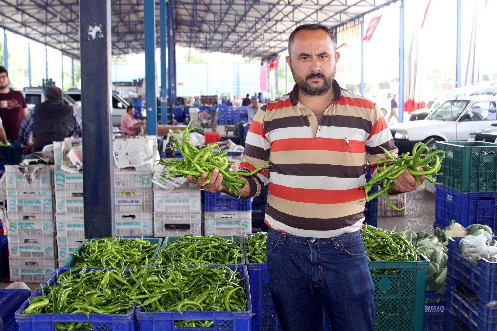 Kışın Zam Şampiyonu Biber Çiftçiyi Üzdü, Domates İse Güldürdü