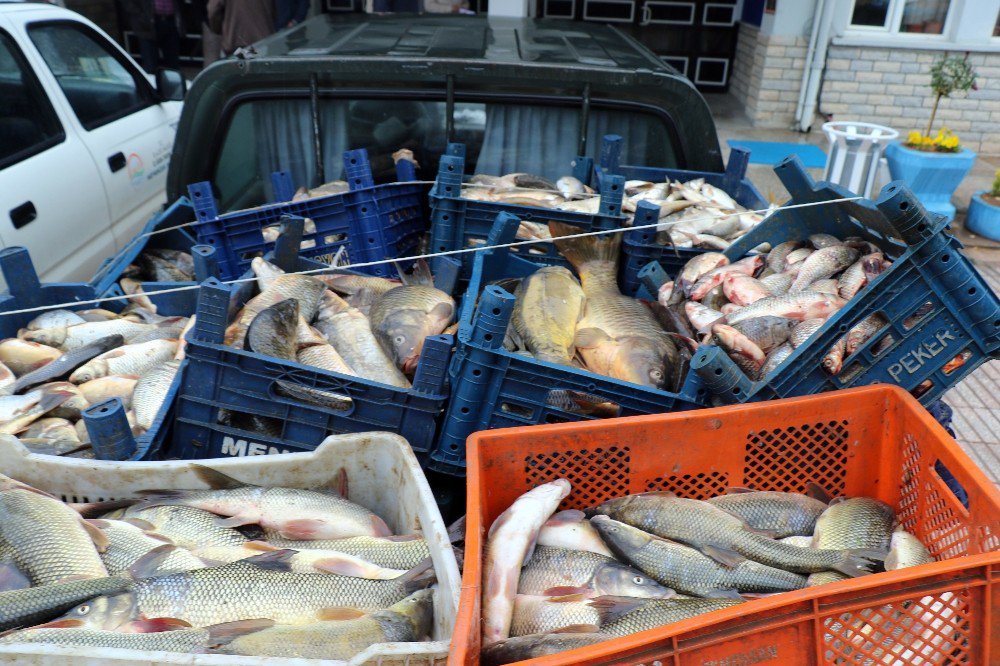 Elazığ’da Kaçak Avlanan 3,5 Ton Balık Ele Geçirildi