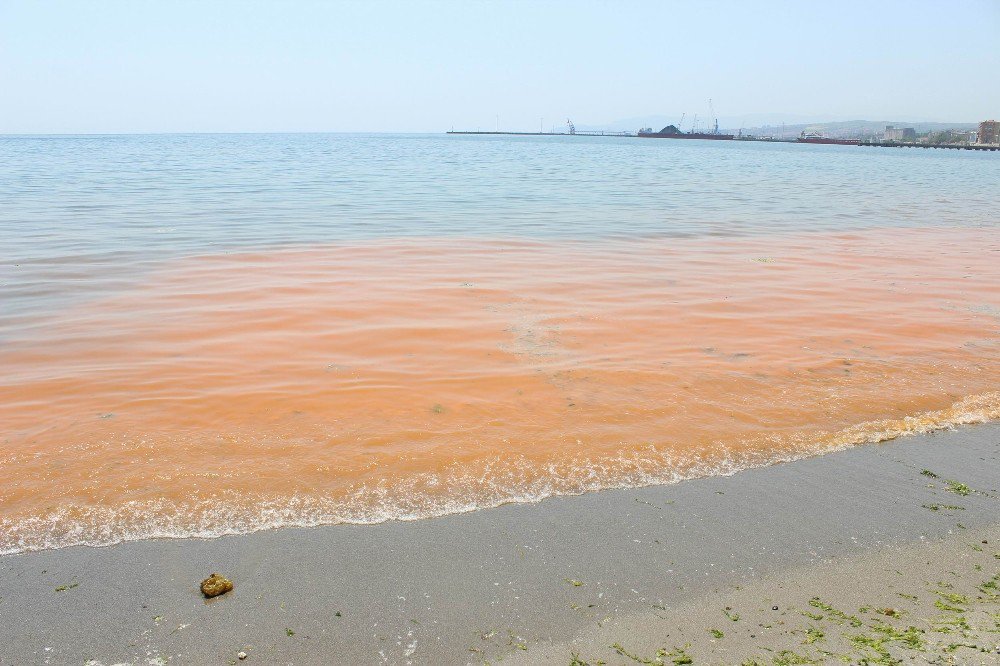 Marmara Denizi Hala Turuncu