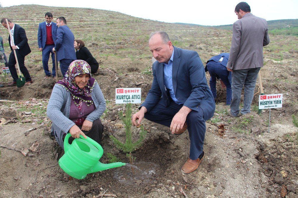 Vezirköprü Şehitlerine Hatıra Ormanı