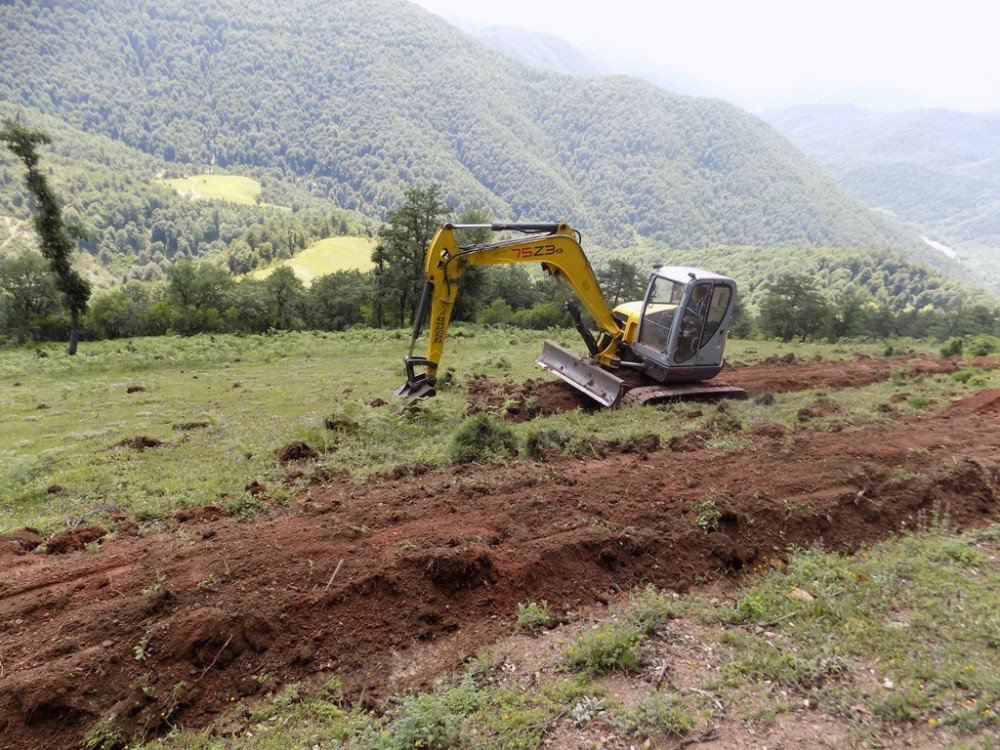 52 Milyon Adet Fidan Toprakla Buluşturuldu