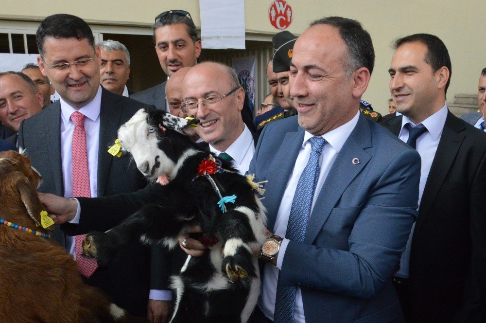 2. Kırıkkale Tarım Ve Hayvancılık Teknolojileri Fuarı Açıldı