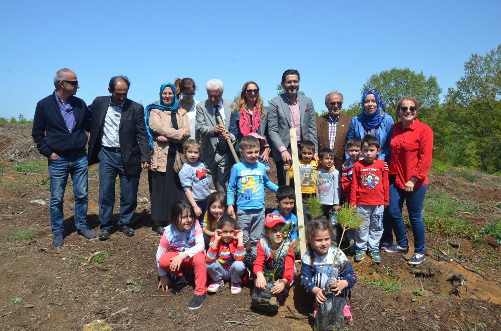 Beykoz’da Anaokulu Öğrencileri Çam Fidanı Dikti