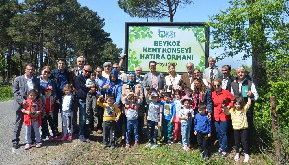 Beykoz’da Anaokulu Öğrencileri Çam Fidanı Dikti