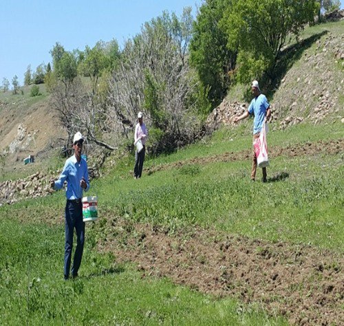 Bingöl’de Yaban Hayvanları Destekleniyor