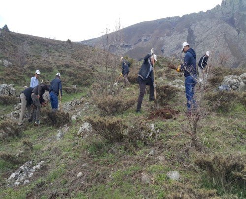 Bingöl’de Yaban Hayvanları Destekleniyor