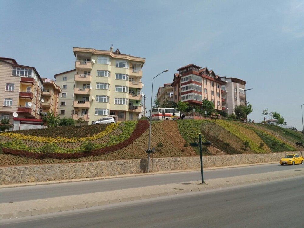 İstanbul Caddesi’ne Peyzaj Düzenleme Çalışması