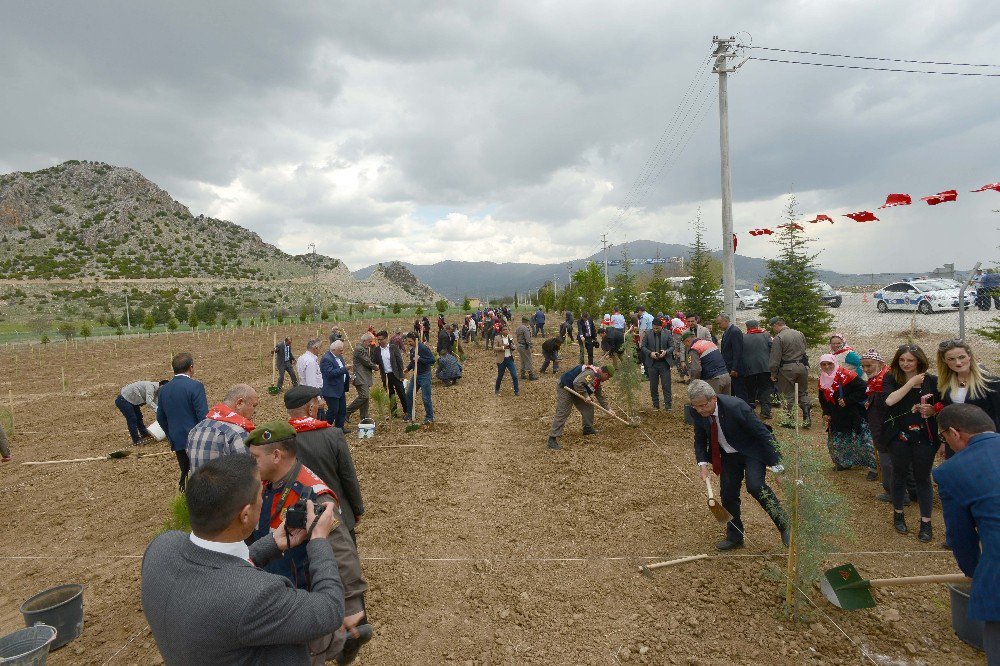 Jandarma Şehitler Ormanında 810 Fidan Toprakla Buluştu