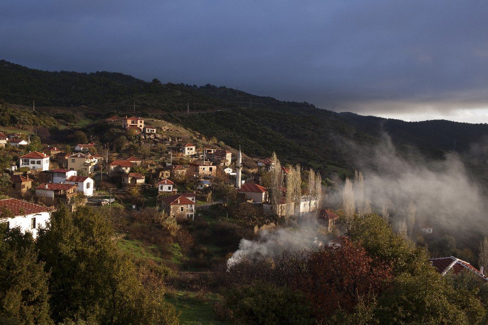 Erkence Zeytini İçin Taş Ocağı Tepkisi