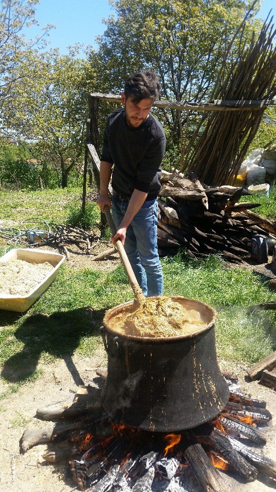 Ordu’da Mantar Yetiştiriciliği Kursu Açıldı