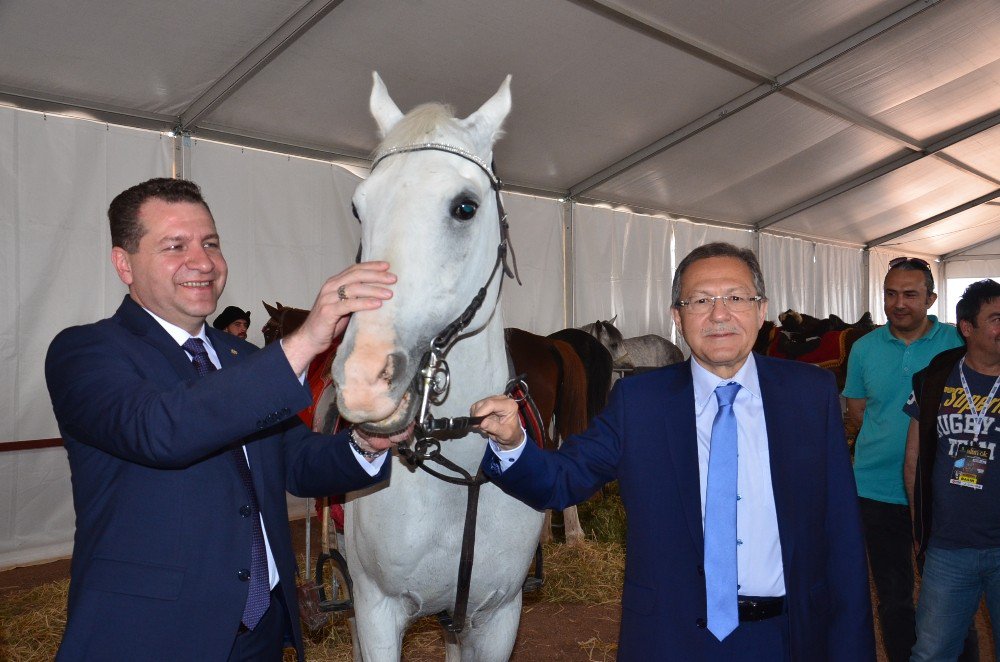 Uluslararası Altın Ok Geleneksel Türk Okçuluğu Ve Atlı Savaş Sanatları Festivali Başlıyor