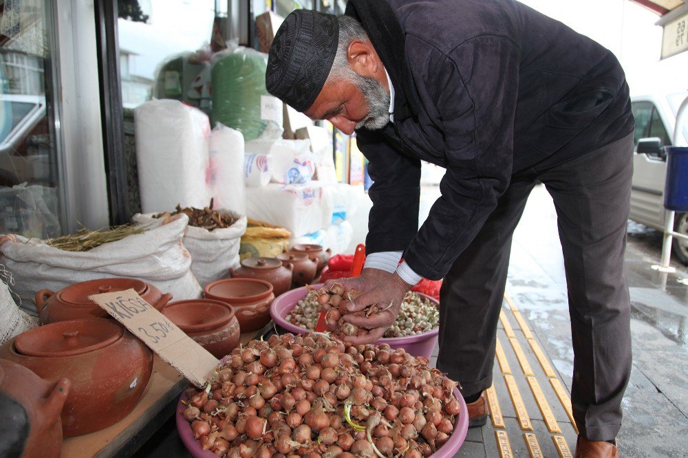 Ahlat’ta Kıska Tohumu Revaçta