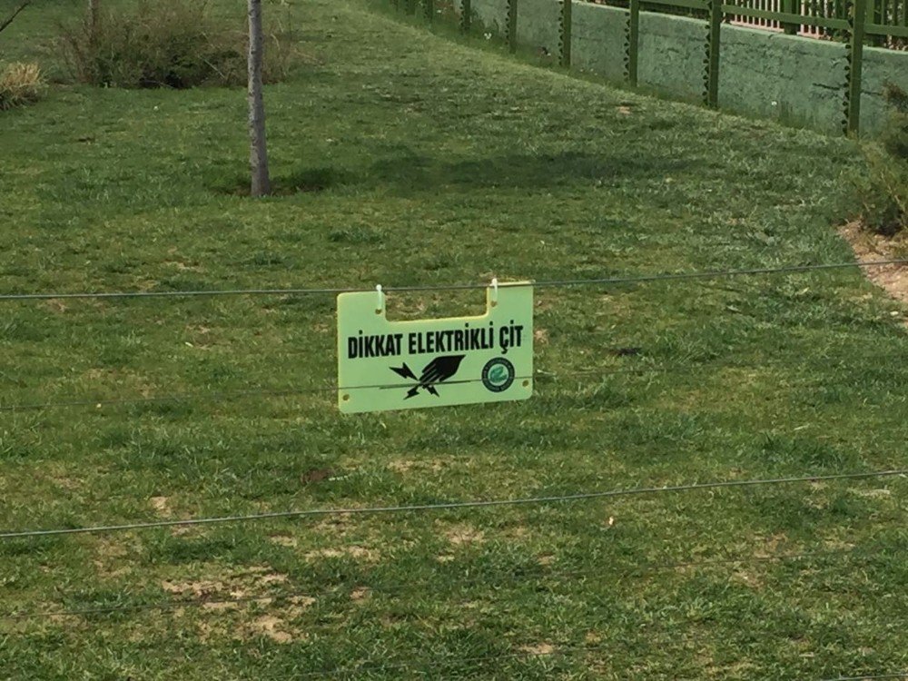 Eskişehir Hayvanat Bahçesi’nde Skandal Görüntü