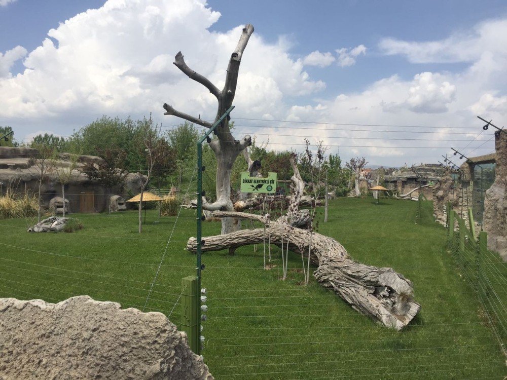 Eskişehir Hayvanat Bahçesi’nde Skandal Görüntü